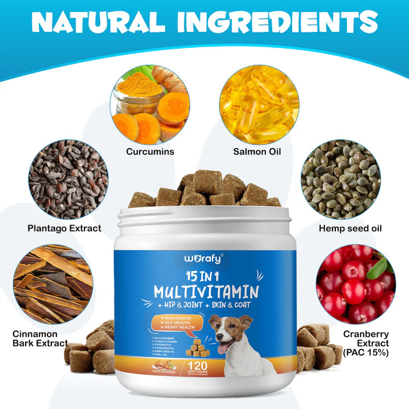 15-In-1 Multivitamin for Dogs - Hip & Joint, Skin & Coat