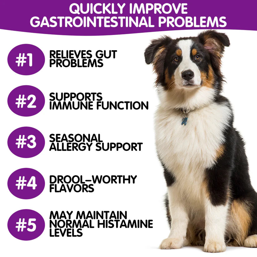 Worafy Pre & Probiotic Digestive Treats For Dogs