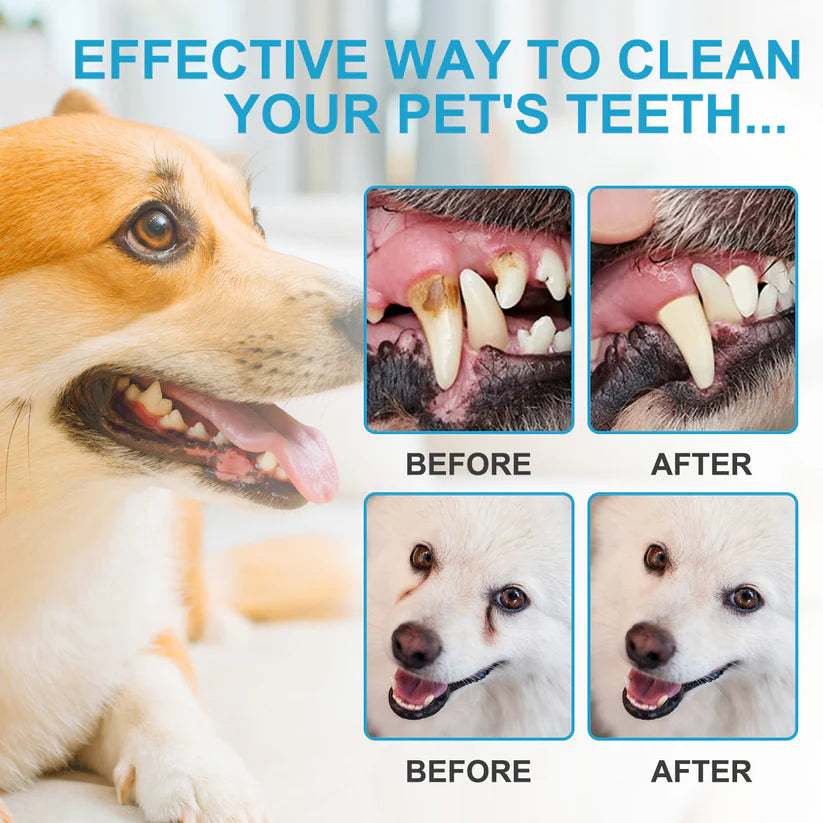 Worafy Dental Care Finger Wipes For Dogs and Cats 50 Wipes
