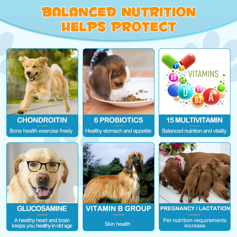 15-In-1 Multivitamin for Dogs - Hip & Joint, Skin & Coat