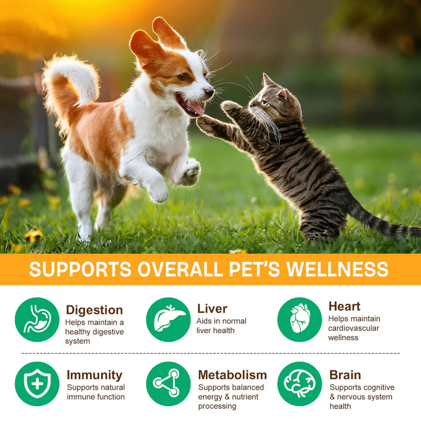 Worafy Mushroom Powder Dor Immune Support Beta-Glucans and Polyphenols 120g