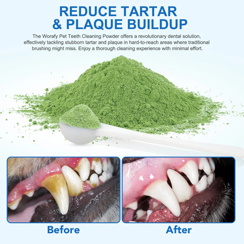 Worafy Pet Dental Cleaning Powder 100g