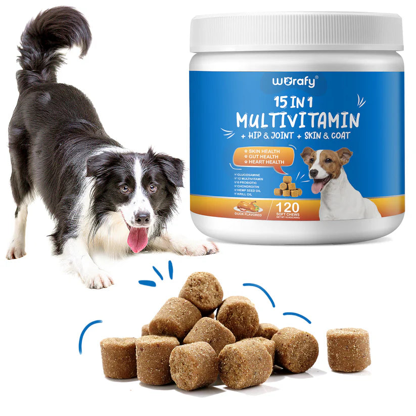 15-In-1 Multivitamin for Dogs - Hip & Joint, Skin & Coat